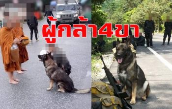 ผู้กล้า4ขา! \'น้องยอสทาวน์\' ร่วมปฏิบัติภารกิจดูแลความสงบใต้กับ จนท.