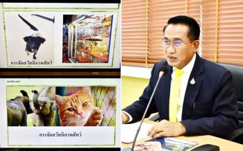 \'อธิบดีปศุสัตว์\'เร่งจัดสวัสดิภาพสัตว์รายชนิดสัตว์ให้มีประสิทธิภาพมากยิ่งขึ้น