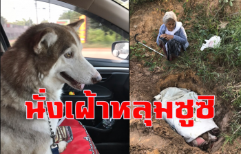 สุดใจดำอำมหิต! คนร้ายฆ่าสุนัขตาย 2 ตัวกลางถนน ยายน้ำตาไหลนั่งเฝ้าหลุมซูซิ