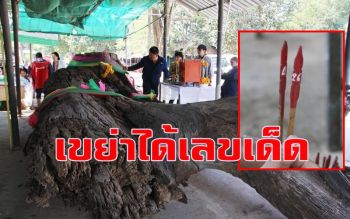 ถอดตะปูสะกดวิญญาณแม่ตะเคียนเก่าแก่ ชาวบ้านจุดธูปเขย่าได้เลขเด็ด