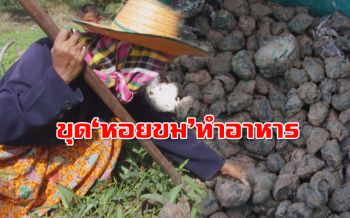 วิถีชาวบ้าน! หา ‘หอยขม’ ช่วงเวลาว่างมาทำอาหาร