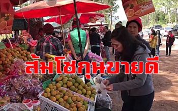 \'ส้มโชกุน\' ผลไม้เมืองเลยขายดี นทท.ซื้อเป็นของฝากก่อนเดินทางกลับ