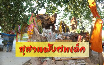เรื่องเล่า! ‘ต้นโพธิ์อาถรรพ์’ ในอดีตเคยเป็นสุสานฝังเด็กหลายร้อยศพ