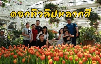 \'อุทยานหลวงราชพฤกษ์\'​ เชียงใหม่ ขน \'ทิวลิป\' นับหมื่นอวดโฉมนักท่องเที่ยว