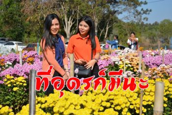 ไม่ต้องไปเที่ยวไกล! ที่อุดรก็มี \'ดอกไม้งามยามหนาว\' ที่บ้านห้วยสำราญ