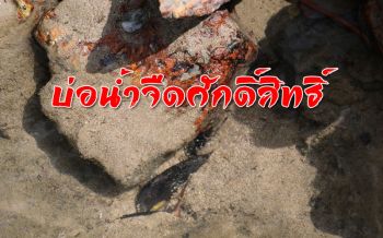 บ่อน้ำจืดศักดิ์สิทธิ์! ชาวบ้านเชื่อดื่มแล้วช่วยรักษาโรคได้