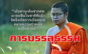 \'การบรรลุธรรม\' เป็นประสบการณ์ตรงของ \'จิต\' : ว.วชิรเมธี