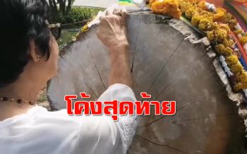โค้งสุดท้าย! ความหวังคอหวยส่องเลขเด็ด ‘ต้นตะเคียนทอง’ วัดอุโบสถกลางน้ำ