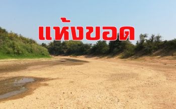 แล้งจัด! แม่น้ำยมแห้งขอดชาวนาสองแควต้องเจาะบ่อบาดาลกลางแม่น้ำ