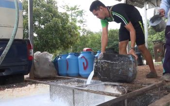 ‘ชาวสวนยาง’ วอนรัฐช่วยพยุงราคายางกิโลละ 50 บาท หลังตกวูบเหลือ 4 โล 100