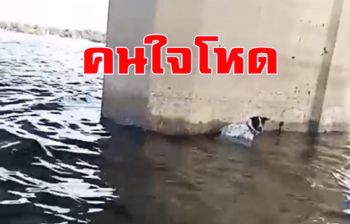 คนใจโหด! แชร์ว่อน...คลิปสุนัขถูกล่ามแช่น้ำใต้สะพานกลางเขื่อนลำปาว