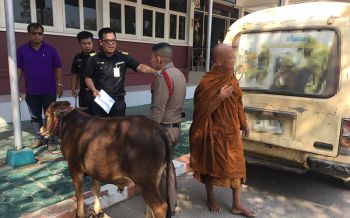 รวบพระสงฆ์ทารุณกรรมสัตว์  ใช้\'สุนัข-ลูกโค\'ตระเวนเรี่ยไรเงินแถวอรัญประเทศ