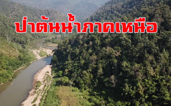 ป่าใหญ่ต้นน้ำรอยต่อ 3 จังหวัดภาคเหนือกับโครงการสร้างอุโมงค์ผันน้ำสู่เขื่อนภูมิพล