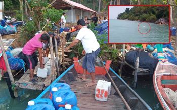 ‘โลมาสีชมพู’ โชว์ตัวกลางทะเลระหว่างพิธี ‘วางซั้งเชือก’