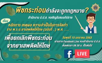 ป.ป.ส.เปิดเวทีรับฟัง ร่าง พ.ร.บ.ยาเสพติดให้โทษ(ฉบับใหม่) ยกเลิก‘พืชกระท่อม’ 15ม.ค.นี้