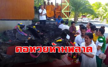 คอหวยไม่พลาด! แม่ตะเคียนทองเข้าฝันอยากอยู่วัด เผยพ่อค้าเห็นนั่งบนไม้ตะเคียน