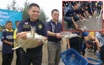 ทช.ร่วมอนุรักษ์ฟื้นฟูป่าในเมืองระยอง \'มหัศจรรย์ป่าชายเลน ทุ่งโปรงทอง ปากน้ำประแส\'