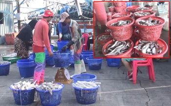 ประมงสงขลาเร่งขนถ่าย\'กุ้งหอยปูปลา\' ก่อนปิดท่า4วันไหว้เจ้า-แม่ย่านางช่วงตรุษจีน