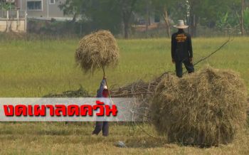 ร่วมด้วยช่วยกัน! เกษตรกร\'พิจิตร\' เก็บฟางไว้ใช้แทนการเผา-แถมสู้ภัยแล้ง