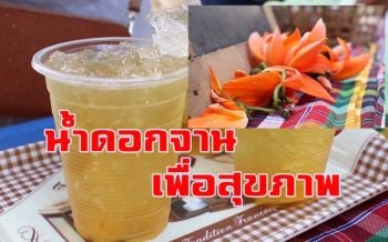 \'น้ำดอกจาน\'สมุนไพรไทยดื่มเพื่อสุขภาพ สรรพคุณเพียบ หลายคนยังไม่รู้ทานได้
