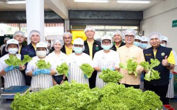 เทสโก้ โลตัส ภูมิใจรับซื้อผักตรงจากเกษตรกรครอบคลุมทั้ง 4 ภาคทั่วไทย