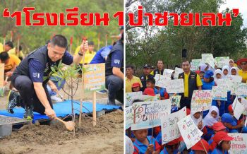 ทช.ดัน24 จังหวัด ผุด‘1โรงเรียน1ป่าชายเลน’ปลุกเยาวชน ร่วมอนุรักษ์สิ่งแวดล้อม