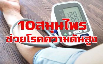 10สมุนไพรไทยประโยชน์เยอะ  ช่วยบรรเทา\'โรคความดันสูง\'