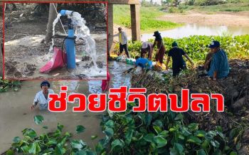 สาธุ! วัดดังอ่างทองเจาะบาดาลนำน้ำช่วยชีวิตปลาหน้าวัด หลังแล้งหนัก