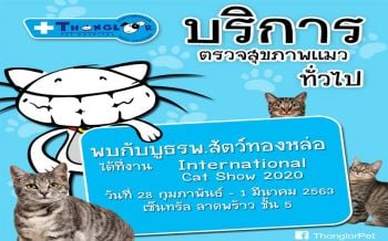 ‘รพส.ทองหล่อ’ชวน‘ทาสน้องแมว’ ร่วมกิจกรรมพิเศษในงาน International Cat Show 2020