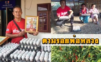 พอเพียงก็มีสุข! อดีตนักมวยดังผันชีวิต\'ตามรอยพ่อหลวง\' ปลดหนี้เกือบล้านสำเร็จ