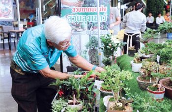 เดอะไนน์ พระราม 9 ชวนชมพรรณไม้ฟอกอากาศ  พร้อมแนะนำ 3 เทคนิค กู้คืนอากาศดีเข้าสู่ตัวบ้าน