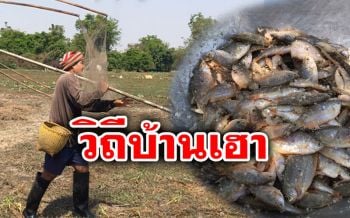 แซ่บอีหลี! ยกยอหาปลาทำ ‘ปลาร้า’ สูตรเด็ดของดีอีสานบ้านเฮา