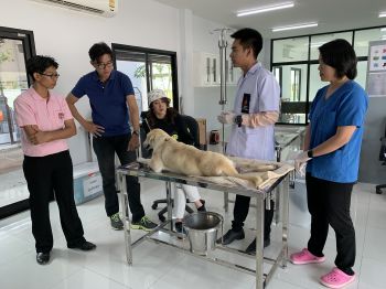 \'เชียร์-ฑิฆัมพร\'สารภาพเรื่องความรักเปิดใจ!\'รักครั้งนี้เป็นความรักที่จริงจังมากที่สุด\'