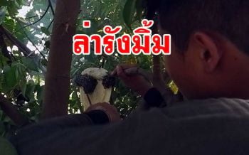 หนุ่ม ปวช.เมืองสุโขทัยขยัน-กตัญญูใช้ช่วงปิดเทอมล่า \'รังมิ้ม\' หาเงินเรียน