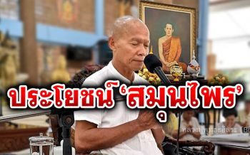 หลวงปู่พุทธะอิสระ ห่วงชาวไทย! แจงสรรพคุณยาสมุนไพรไทยรักษาบรรเทาป่วยไข้