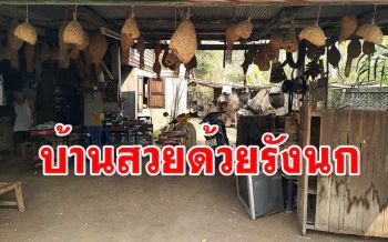 ลุงชาวพะเยาไอเดียเก๋! สะสมรังนกกระจาบร้างตกแต่งบ้านกว่า 100 รัง
