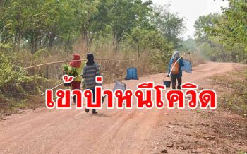 ชาวเมืองน้ำดำหนีเข้าป่าหาอาหารเลี่ยงเข้าตลาดสดเสี่ยง \'โควิด\'