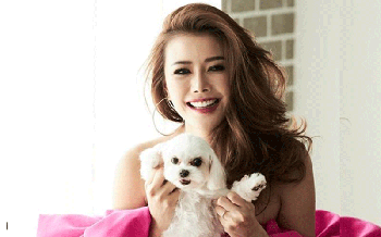 \'น้องหมา-น้องแมว\'จะอยู่อย่างไร? ถ้าเจ้าของติดไวรัสโควิด-19