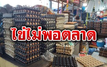 \'ไข่ไก่\'ไม่พอตลาด ประชาชนแห่จองซื้อล่วงหน้า (ภาพชุด)