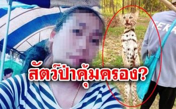 โซเชียลเดือด!! หลังสาวโพสต์ภาพ ‘สัตว์ป่าคุ้มครอง’ เตรียมทำอาหาร