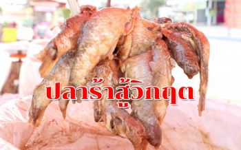 ชีวิตต้องสู้! แม่ค้าตลาดนัดตั้งโต๊ะขาย ‘ปลาร้า’ หน้าบ้านสร้างรายได้วิกฤตโควิด-19