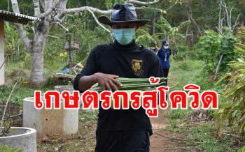 \'เกษตรกรบ้านไทรงาม\' เมืองสตูล ปรับตัวสู้เพื่อความอยู่รอดยุคโควิด-19