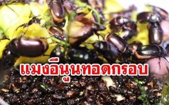 เคยกินไหม? ’แมงอีนูนทอดกรอบ’ อาหารพื้นเมืองตามฤดูกาล