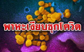 4 ข้อควรรู้เกี่ยวกับ‘พาหะเงียบ’ ซุกไวรัส\'โควิด-19\'แต่ไร้อาการ