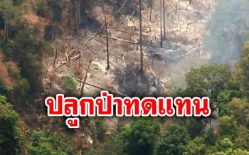 ทส. เตรียมฟื้นฟูป่าภาคเหนือปลูกทดแทนพร้อมกัน 21 พ.ค.ทั่วประเทศ