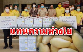 ‘เกษตรสุโขทัย’ มอบ ‘มะม่วง’ 400 กิโล ให้บุคลากรทางการแพทย์