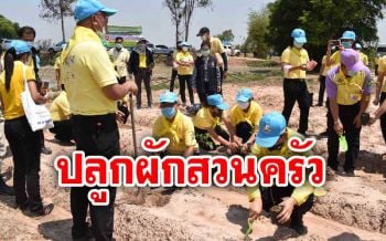‘จิตอาสากาฬสินธุ์’ ชวนปลูกผักสวนครัวกินเองในบ้าน