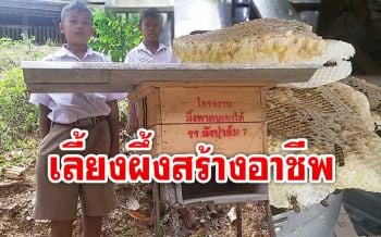นักเรียน รร.ผังปาล์ม7เลี้ยง ‘ผึ้ง’ ฝึกอาชีพในอนาคต