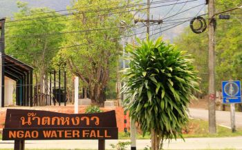 จับหน.อุทยานฯน้ำตกหงาว-พวกรวม 8 ราย  ตั้งวงก๊งเหล้าคาบ้านพัก เย้ย พ.ร.ก.ฉุกเฉิน