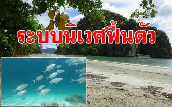 ตรังระบบนิเวศใต้ทะเลฟื้นตัว! หลังอุทยานฯหาดเจ้าไหมประกาศปิดท่องเที่ยว